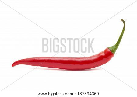 Hot Chili Pepper
