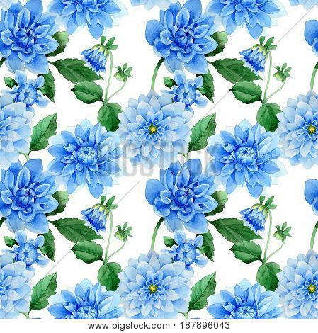 Wildflower dahila flower patern in a watercolor style isolated. Full name of the plant: blue dahila. Aquarelle wild flower for background, texture, wrapper pattern, frame or border.