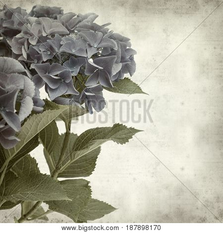Textured Old Paper Background