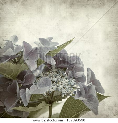 Textured Old Paper Background