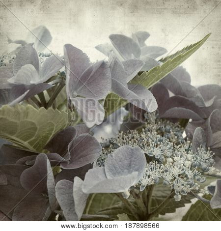 Textured Old Paper Background