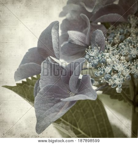 Textured Old Paper Background