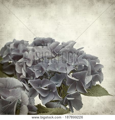 Textured Old Paper Background