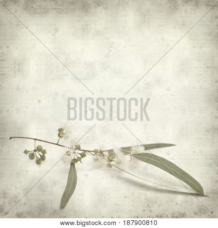Textured Old Paper Background