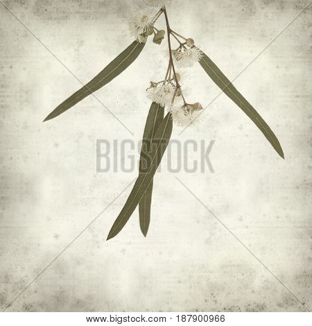 Textured Old Paper Background