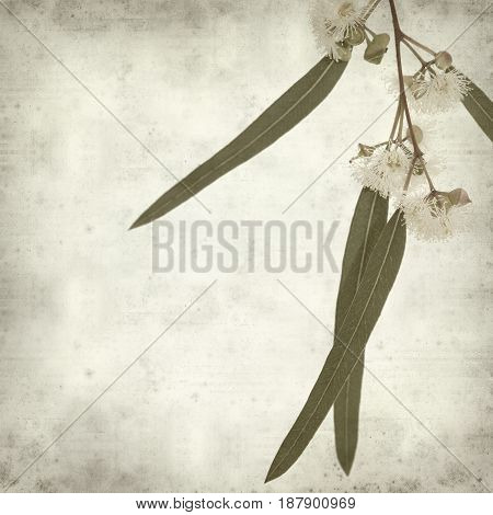 Textured Old Paper Background