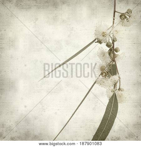 Textured Old Paper Background