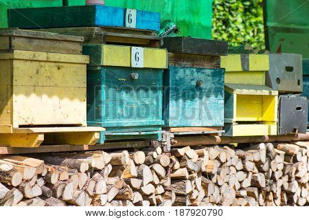 Huts For Bees