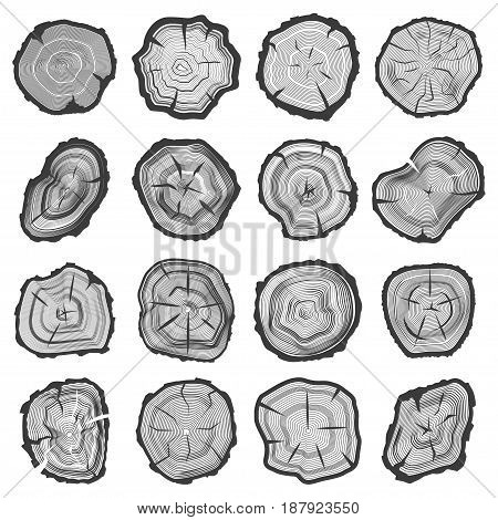 Wood annual rings set, sawcut old tree trunk line graphic with splits and cracks, nature image. Vector flat style illustration isolated on white background