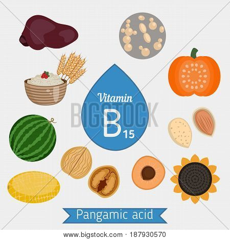 Vitamin B15 Or Pangamic Acid Infographic
