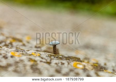 Head of the nail closeup. Hobnail sticking out of asbestos sheet old roof. Background with limited depth of field.