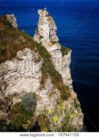 beautiful normandy - cliffs and beach étretat - france - may 2017