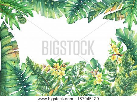 Square frame with branches plumeria flowers and tropical plants. Hand drawn watercolor painting on white background.