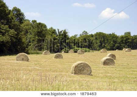 Ballensilage Heu im Feld