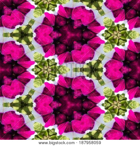 Abstract decorative flower background. Seamless colorful pattern.Ornamental pattern.