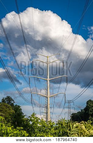 Vertical photo of power lines and tower against a blue sky with large white and grey clouds and green trees and bushes in the lower part of the frame