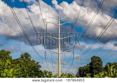 Horizontal photo of power lines and tower against a blue sky with large white and grey clouds and green trees and bushes in the lower part of the frame