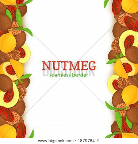 Nutmeg spicy verticall seamless border. Vector card illustration with composition of pattern nutmeg spice nut fruits in the shell whole shelled leaves for design of food packaging breakfast detox diet