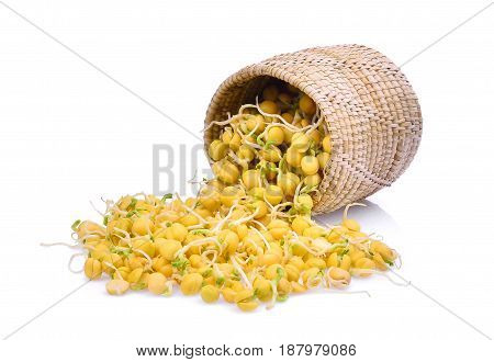 snow pea sprouts in wooden basket isolated on white background