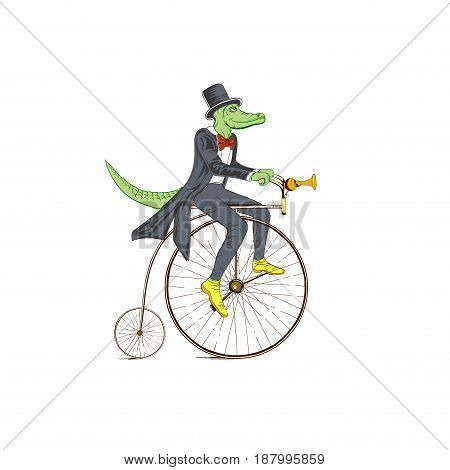 Sketch of a crocodile in a dress coat on a retro bicycle on white background.