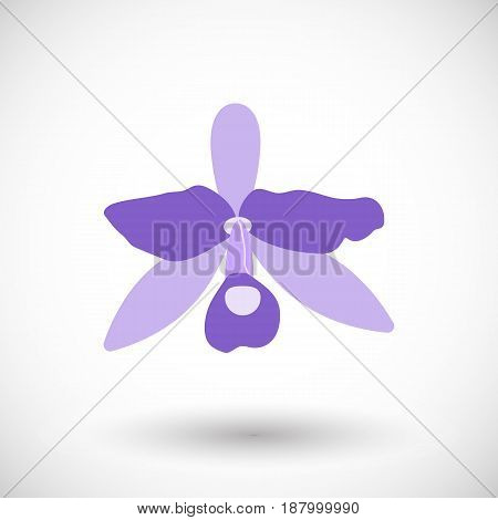 Orchid icon Flat design of national flower of Costa Rica vector illustration