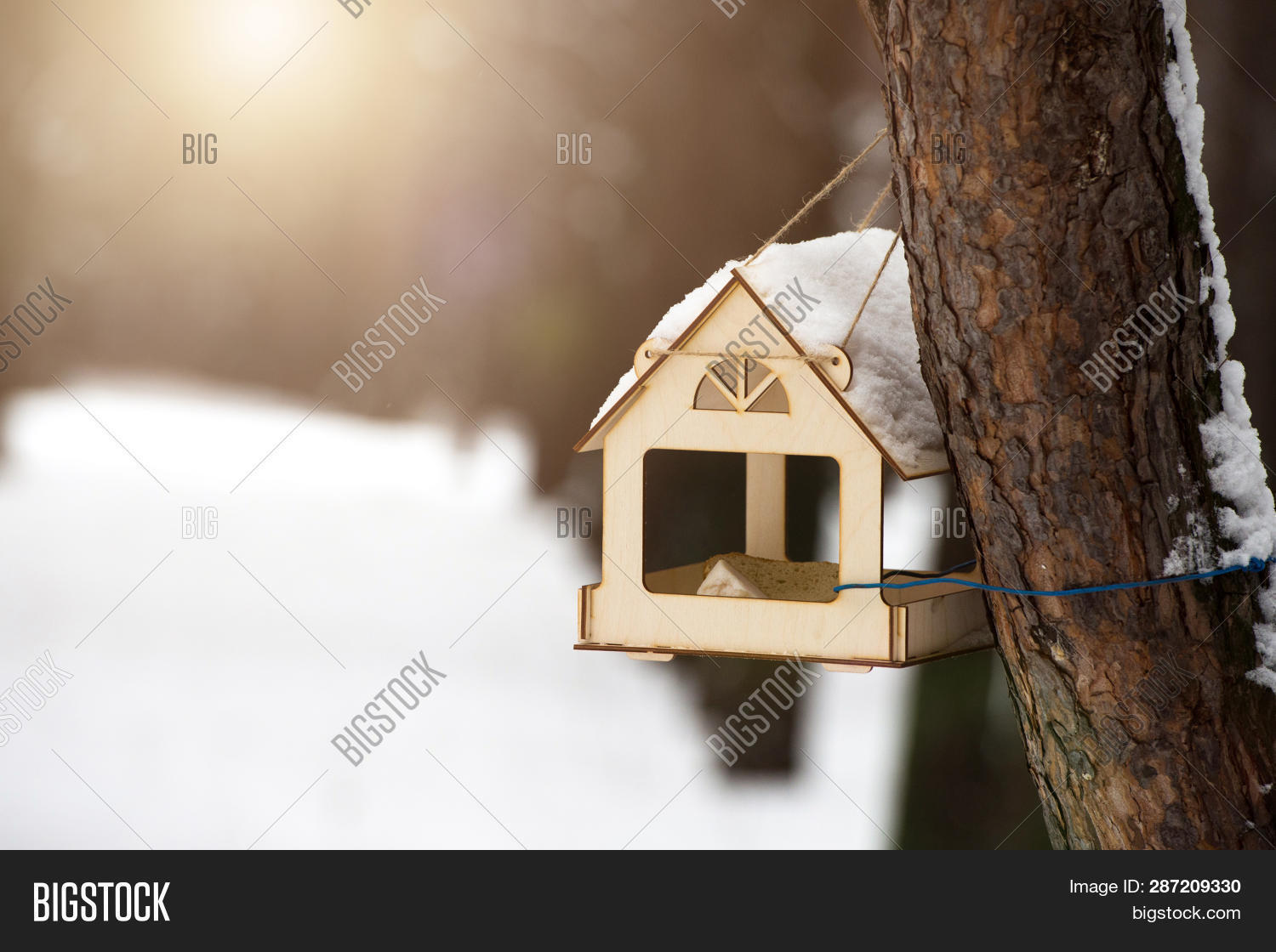 Homemade Bird Feeder Image Photo Free Trial Bigstock