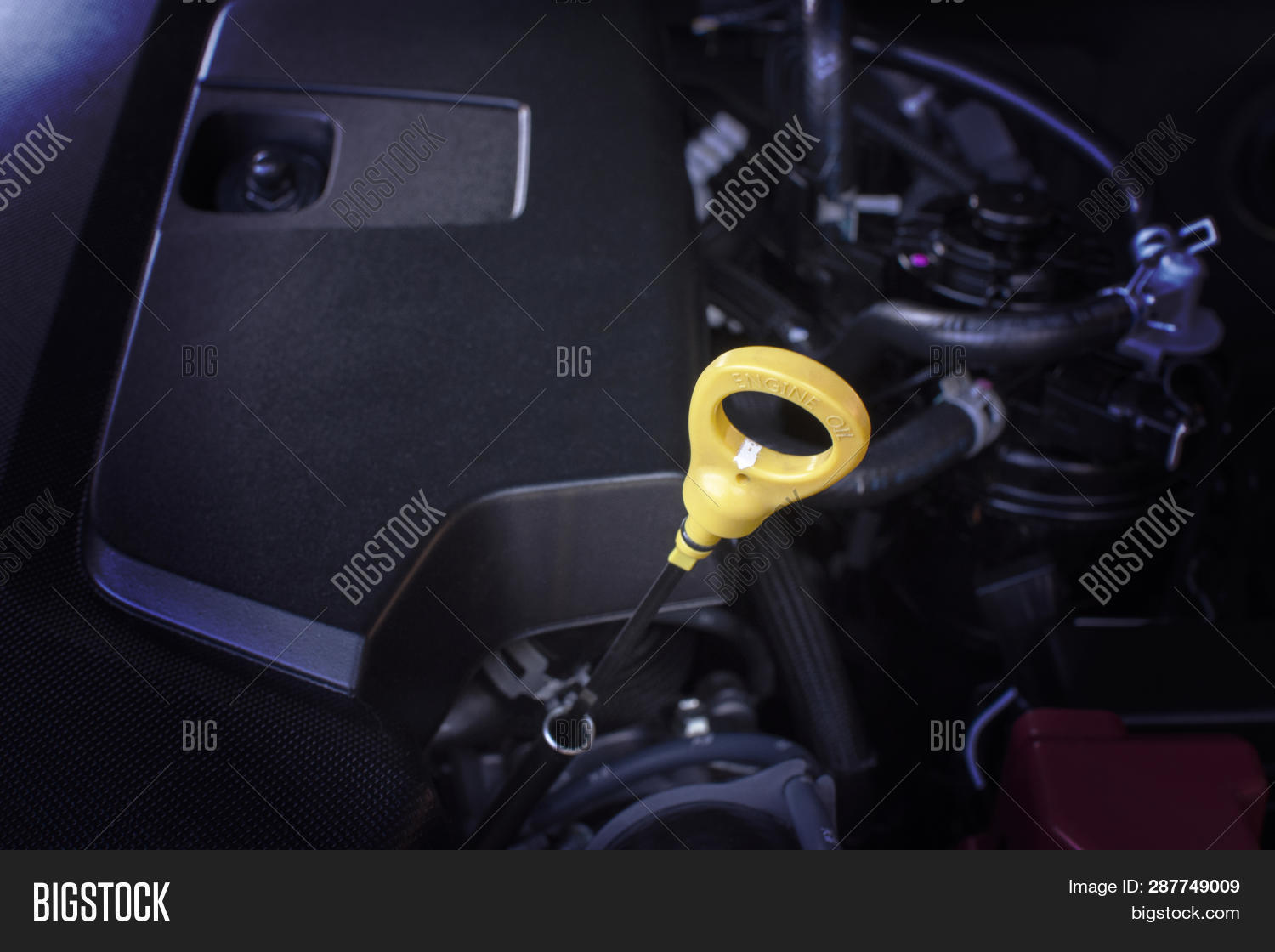 Dipstick Oil Level Image & Photo (Free Trial) Bigstock