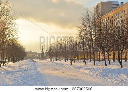 Alley At Winter At Cloud Day On The Outskirts Of St. Petersburg, Russia.