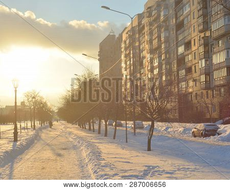 Alley At Winter At Cloud Day On The Outskirts Of St. Petersburg, Russia.