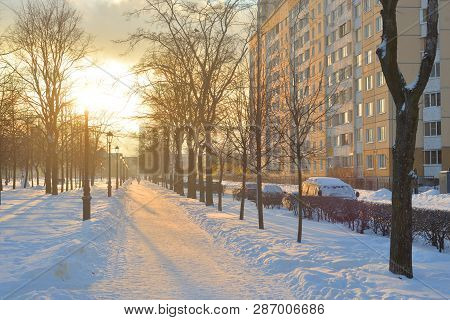 Alley At Winter At Cloud Day On The Outskirts Of St. Petersburg, Russia.