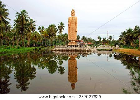 Peraliya, Sri Lanka - December 23, 2014: The Buddha Statue In Peraliya