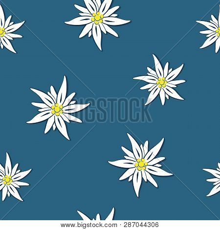 Seamless Pattern Edelweiss Flower On Blue Background Vector Illustration Eps10