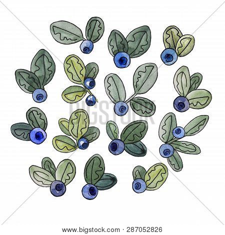 Watercolor Stylized Blueberry Elements Set Isolated On The White Background. Hand Drawn Berries Of T