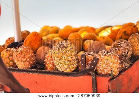 Orabge Apple Pine Fresh Sweet Fruit Stack