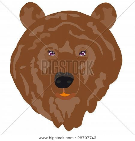 Illustration Borax Bear