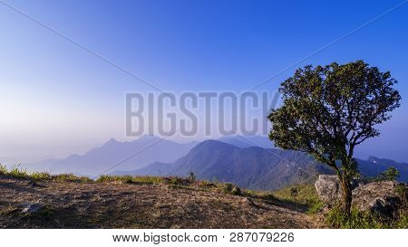 Landscape Of Mountain High View With Big Tree In The Morning At Phucheefah Chiangrai, Thailand