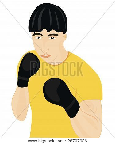 Boxer i handske
