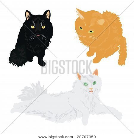Mange katte i diverse af farve