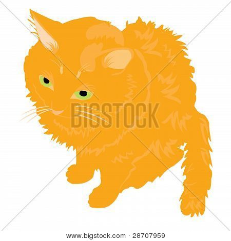 Illustration Redhead kat