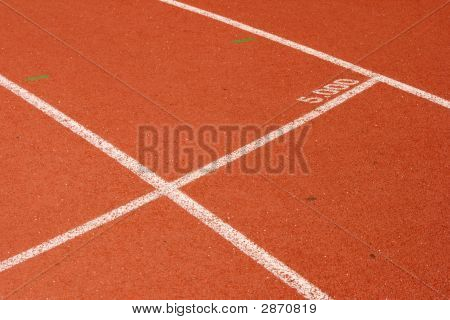 5 천 표