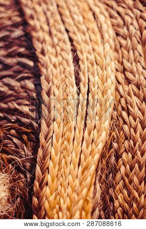Fashion Hairstyles Braids Braids : Many Small Breeds Tail Creative Hairstyles With Thick Braids