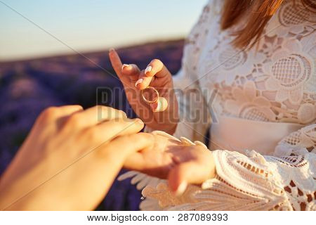 Marriage Proposal In A Field Of Lavender.