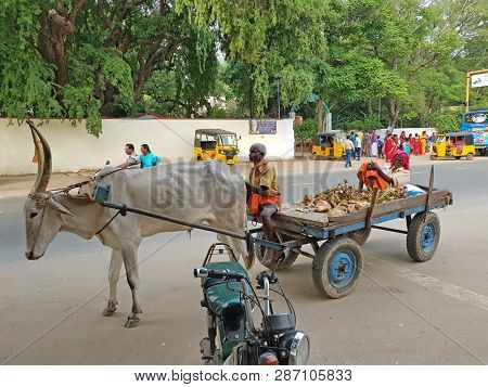Tiruvanamalai, India -December 10, 2019: Street scene in Tiruvanamalai in India