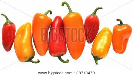 Kleurrijke Mini Peppers