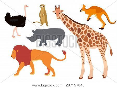 Africa Animal Decorative Set Colorful Isolated Vector Illustration