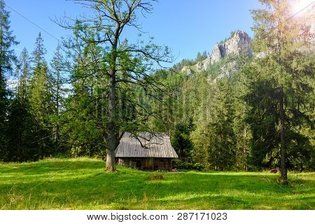 Wooden House In The Austrian Alpine Forest