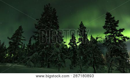 Aurora Borealis (northern Light) Behind Trees Outside Saariselka Village On A Winter Night. Northern