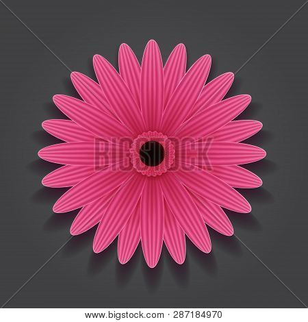 Pink Flower On Black Background. Vector Image.