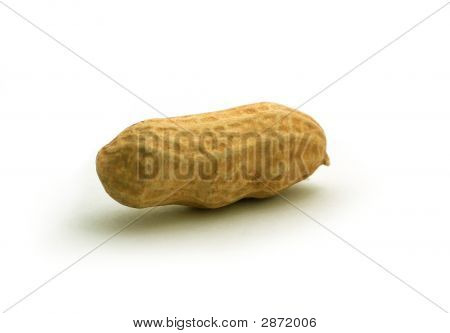 Peanut i Shell isoleret på hvid baggrund