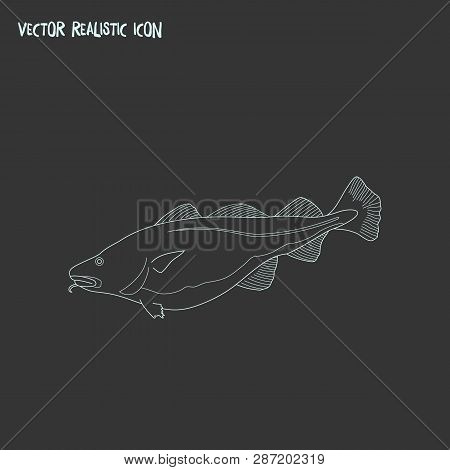Cod Fish Icon Line Element. Vector Illustration Of Cod Fish Icon Line Isolated On Clean Background F